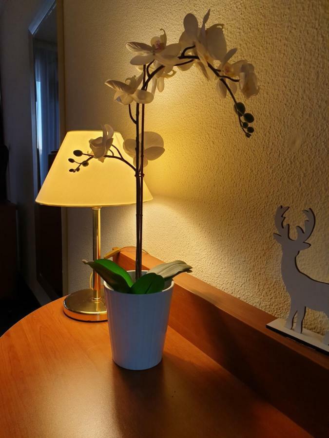 Apartment Am Kranichsee Vier Jahreszeiten Гослар Экстерьер фото